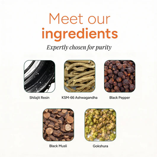 AphaForge™ Shilajit Gummies